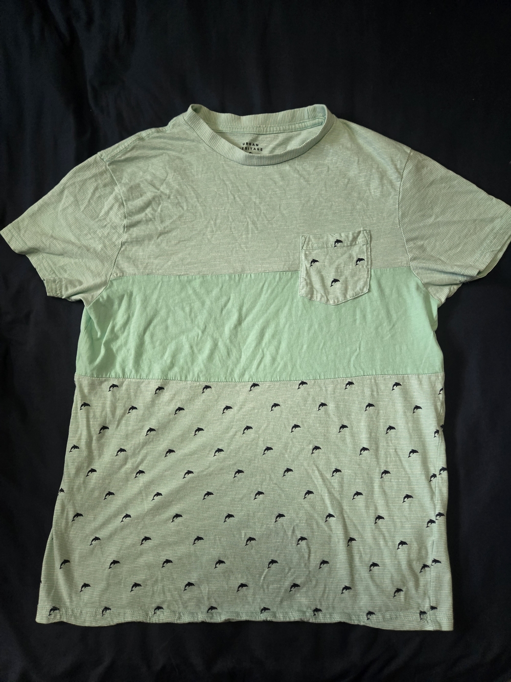 Urban Heritage Mint Green Colorblock Short Sleeve Tee with Dolphin Print